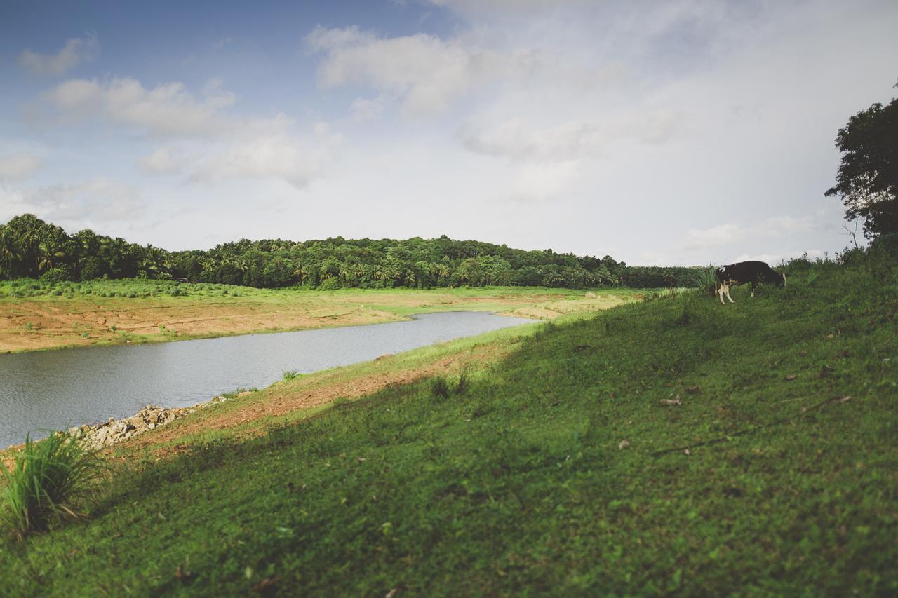 Riverine Springs Wadakkanchery Exterior foto